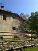 31 I corni ci attendono